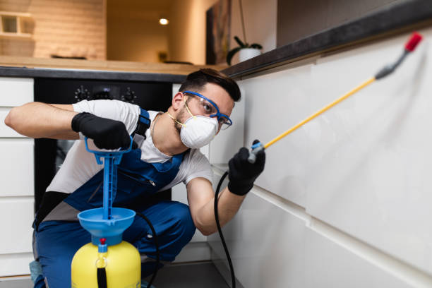 Best Insect Control  in Lawton, MI