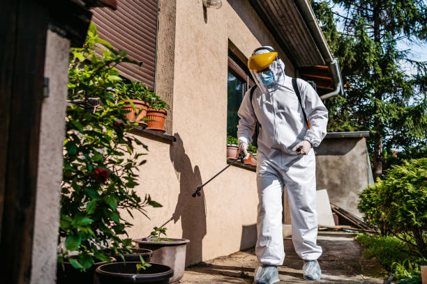 Best Pest Removal Services  in Lawton, MI