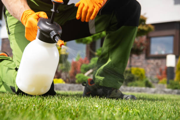 Best Wildlife Control Services  in Lawton, MI