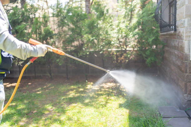 Wasp Removal Services in Lawton, MI