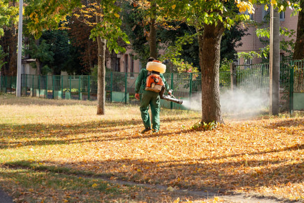 Professional Pest Control in Lawton, MI